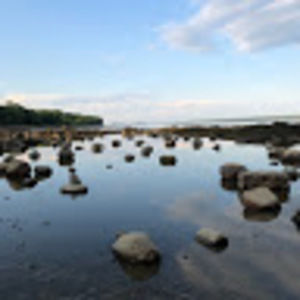 Meet your Posher, Ilsa